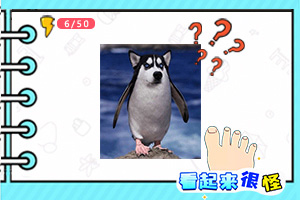 国通信托董事长因心梗去世，终年55岁