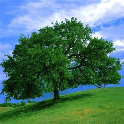 G7财长会砸了 日本欧盟都在盯着中国