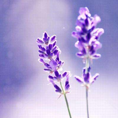 LS电气超高压领域再获突破：核心...