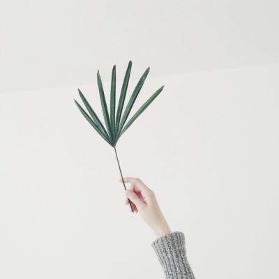 银行间债市再迎改革红利 交易商协会优化基础层企业注册发行机制 1月发行规模近8700亿元