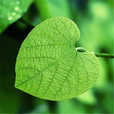 AI驱动半导体产业升级 产业链多环节迎新机遇